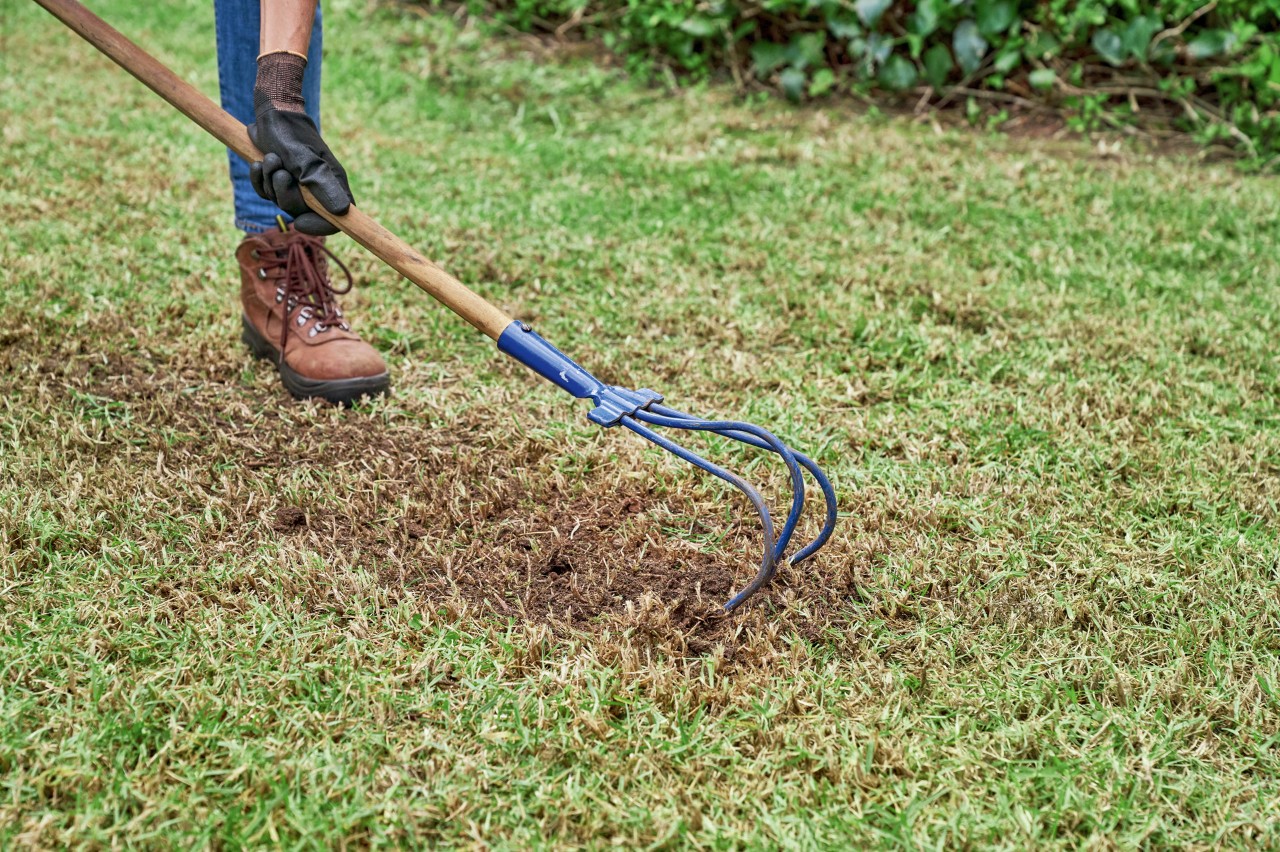 Met een krabber wordt de met gras begroeide grond bewerkt.