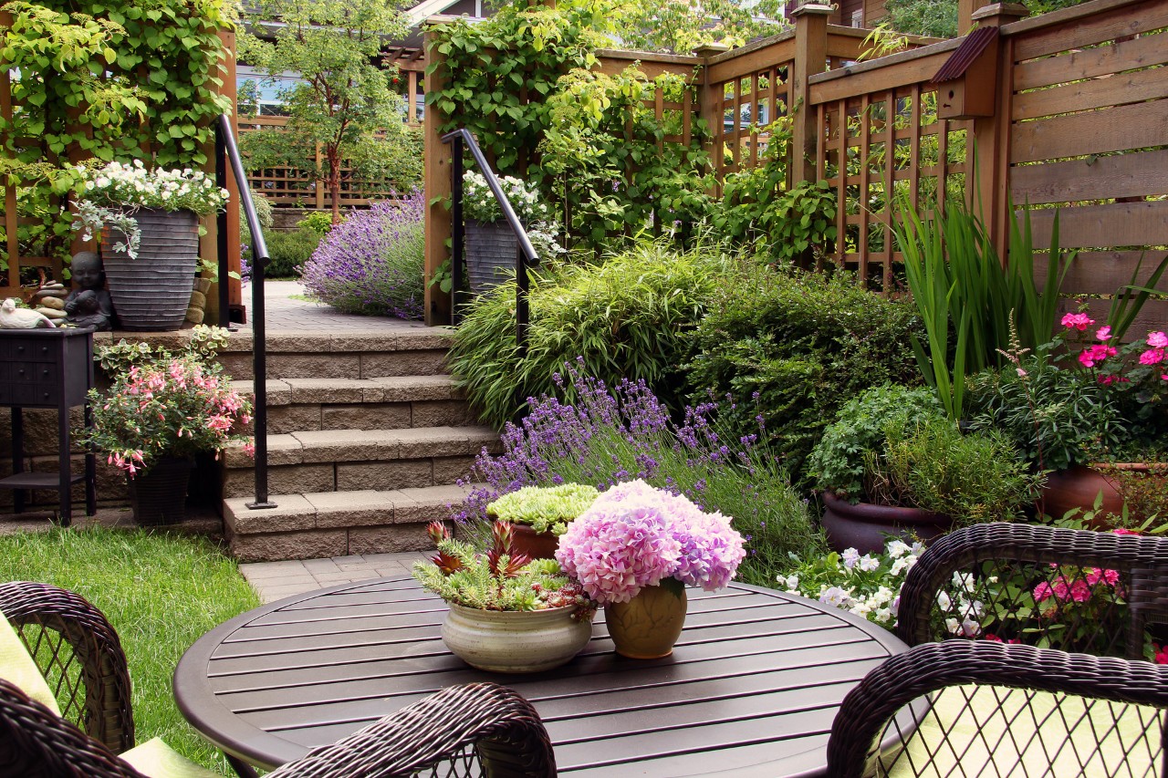 Kleine tuin met rotan tuinmeubels op de voorgrond, een stenen trap naar een hoger niveau, struiken, bloempotten, klimrekken en schuttingen erachter.