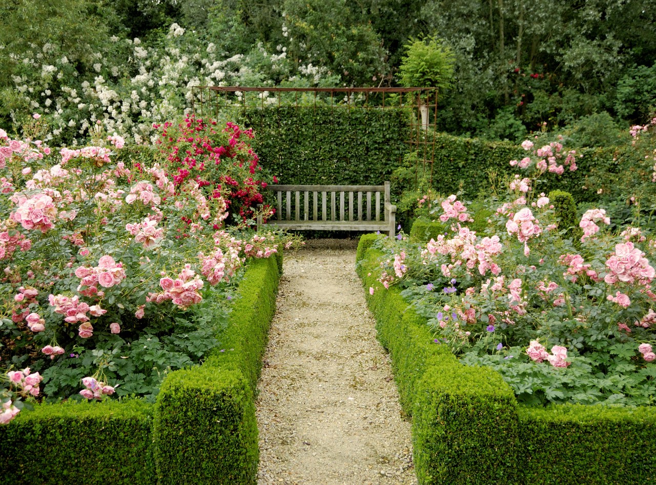 Romantische kleine tuin met rozenperken, getrimde buxusbomen, omgeven door een haag van een haagbeuk, houten bank. 