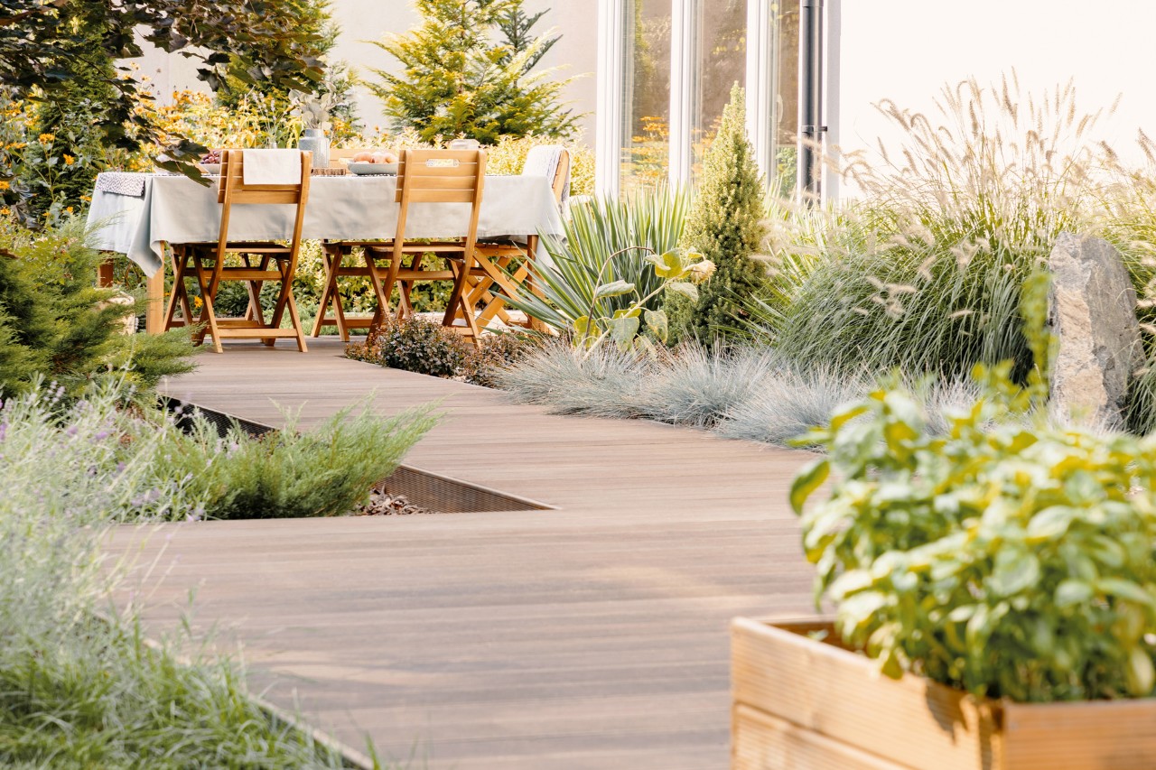 Moderne kleine tuin met houten terras, gras, riet, tuinmeubels op de achtergrond, rechts raampartij van het huis.