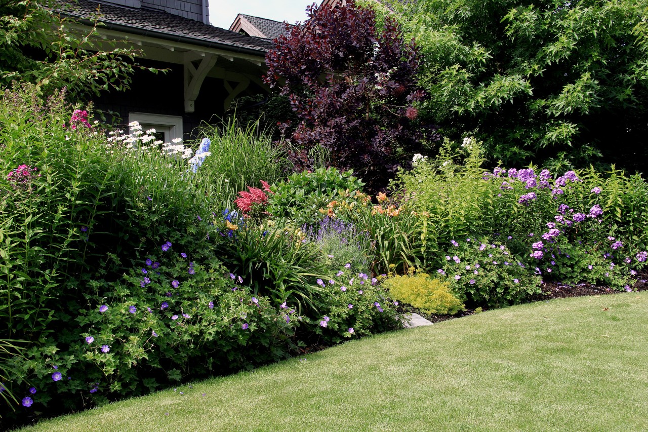 Kleine tuin met grasveldje op de voorgrond, rijk met vaste planten beplant gebied met zicht op de naburige tuin.