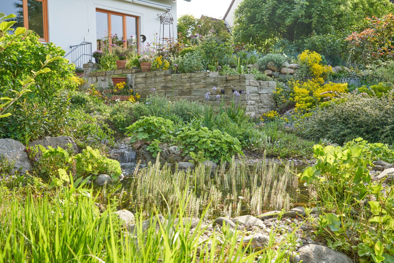 Tuin met een helling in het voorjaar met stenen muurtjes voor een huis 