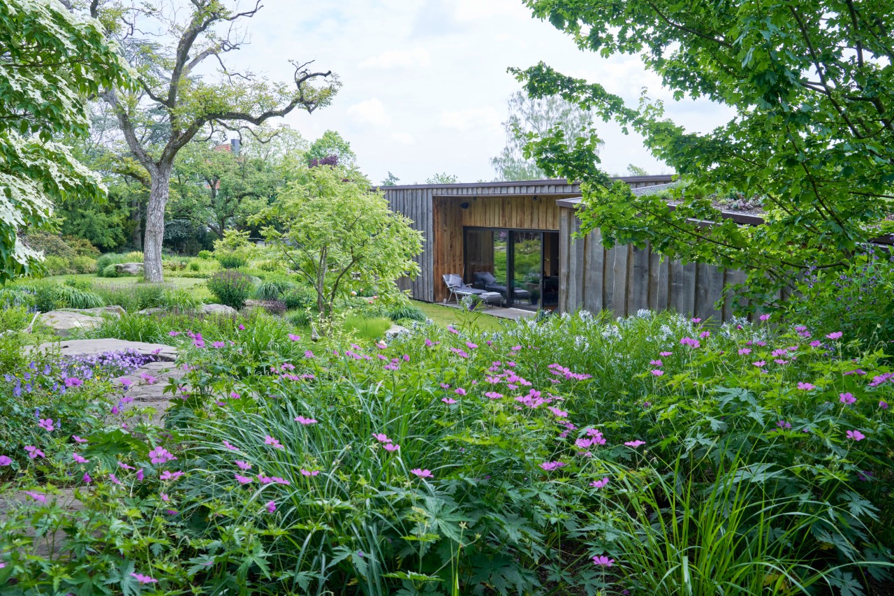 Tuin op een helling met ooievaarsbek