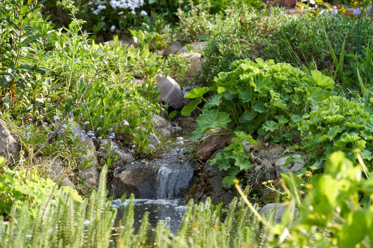 Tuin op een helling in de lente met een beekje