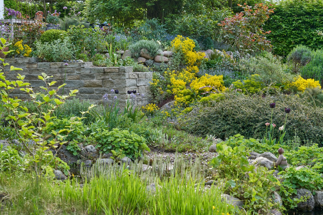 Tuin op een helling met veel groene planten
