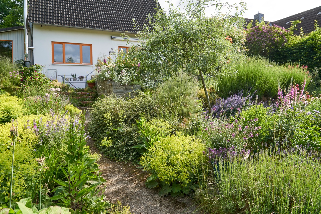 Een tuin op een helling met een tuinpad naar een huis