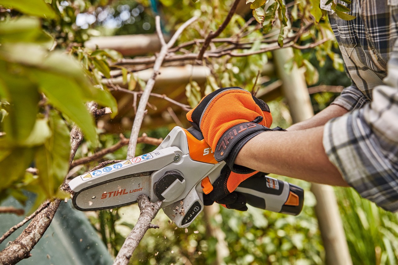 Bij het tuinonderhoud in oktober worden afgestorven takken gesnoeid met een STIHL GTA 26 accusnoeizaag.