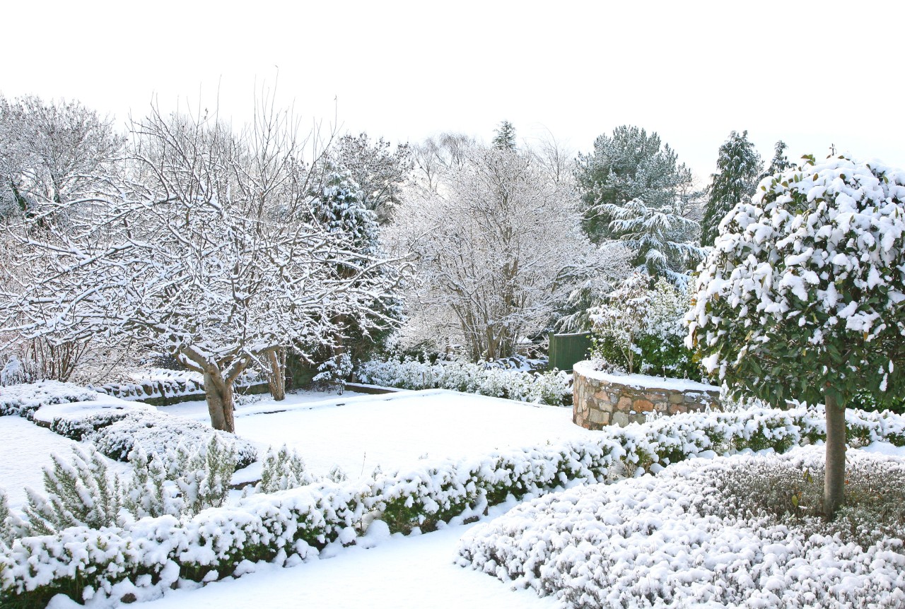 Een besneeuwde tuin in de winter
