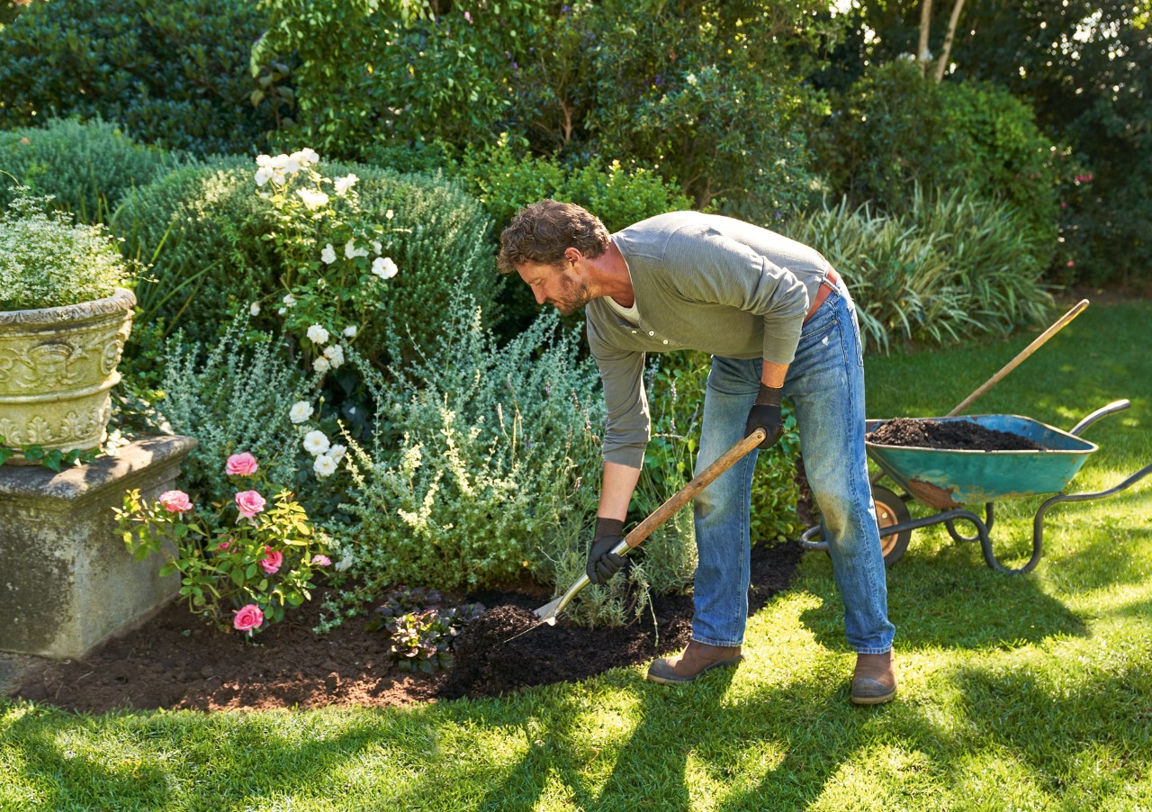 Man met STIHL veiligheidshandschoenen hakt met een schoffeltje met lange steel tussen vaste planten in de tuin