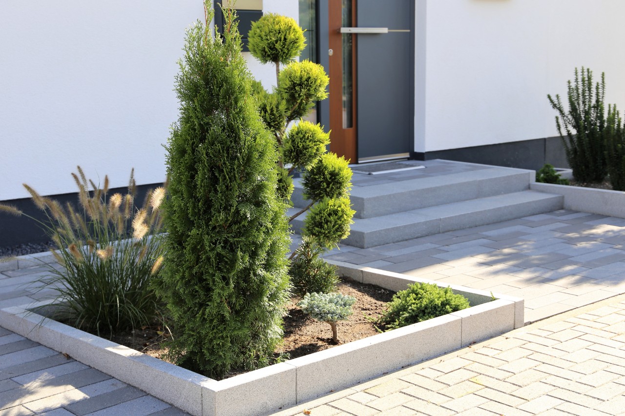 Fraai ingericht perk in voortuin, ingebed tussen betonplaten 