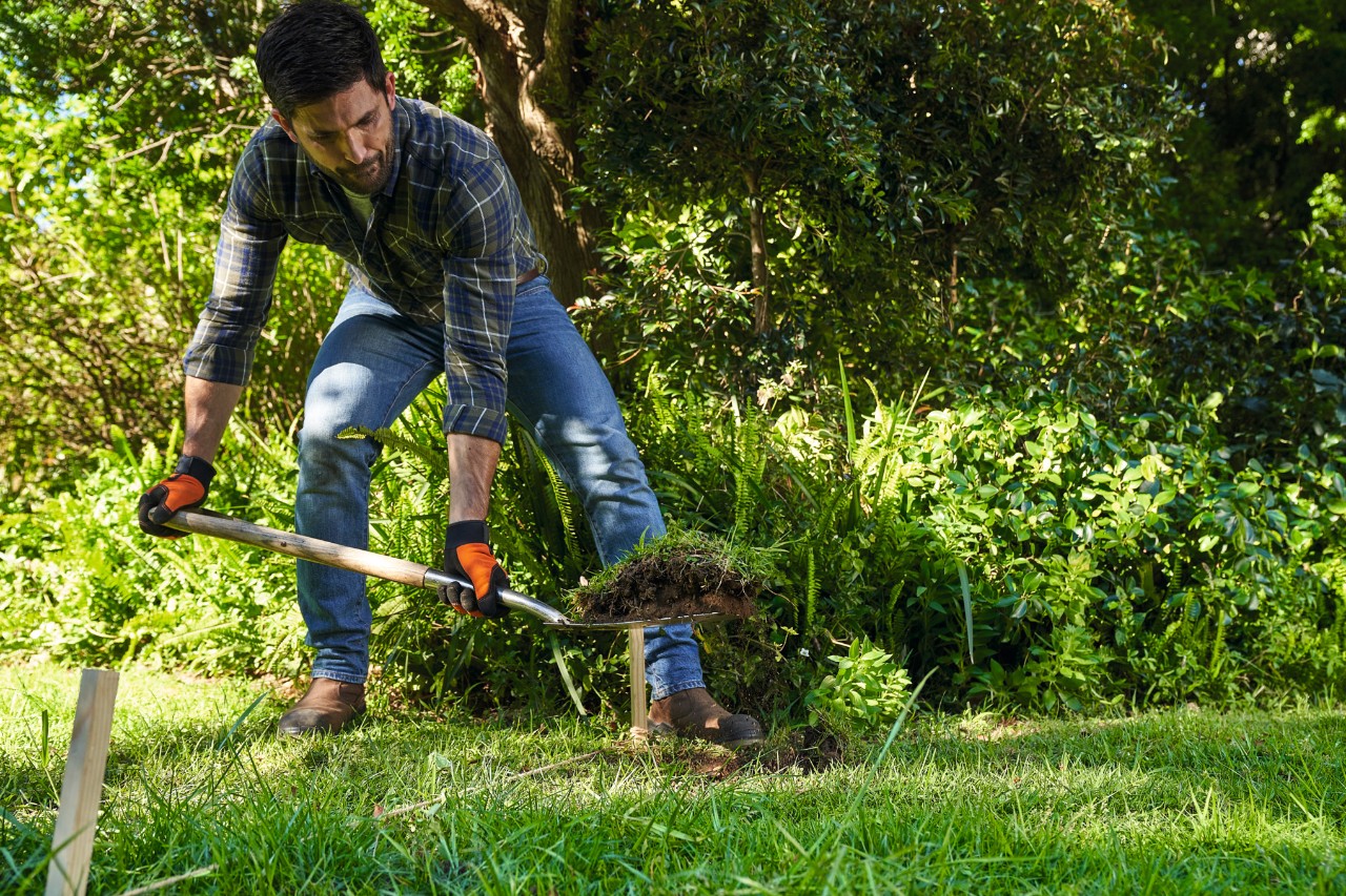 Een man tilt met een spade graszoden uit een weide 