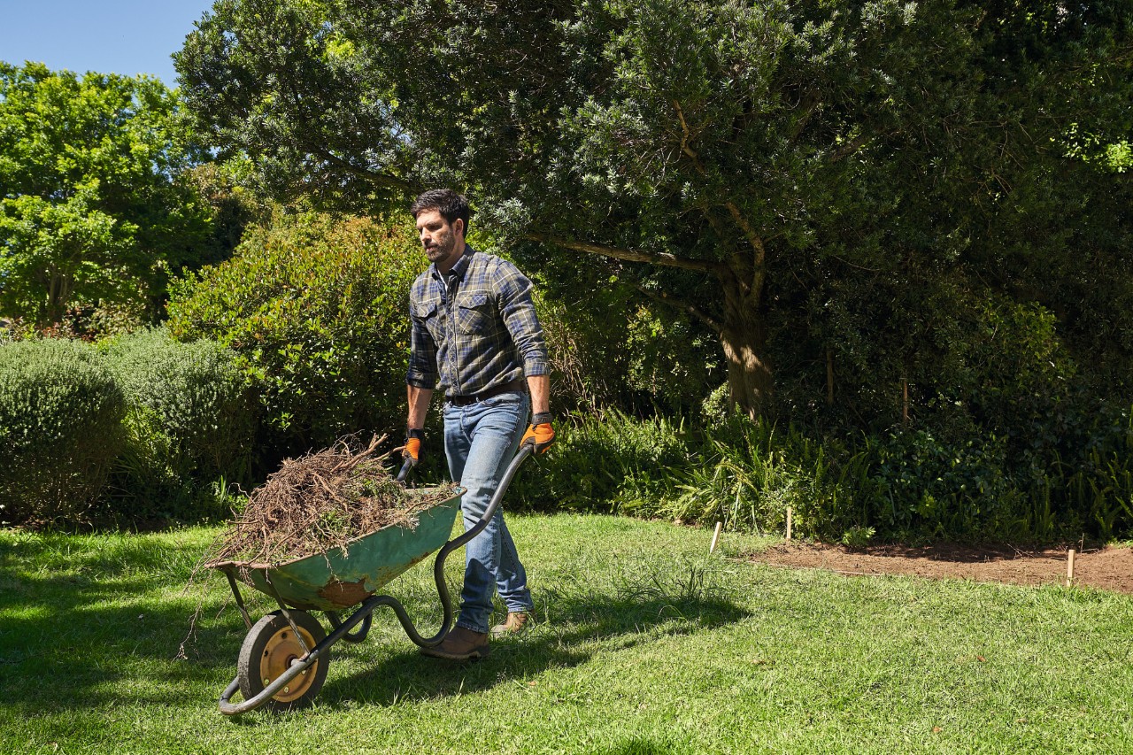Een man op een tuin transporteert tuinafval in een kruiwagen  